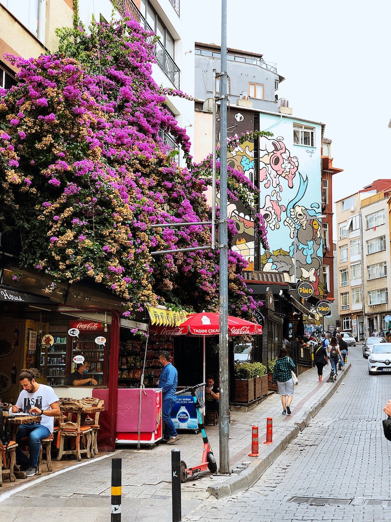 İstanbul Otogarı Hintçe Rehber